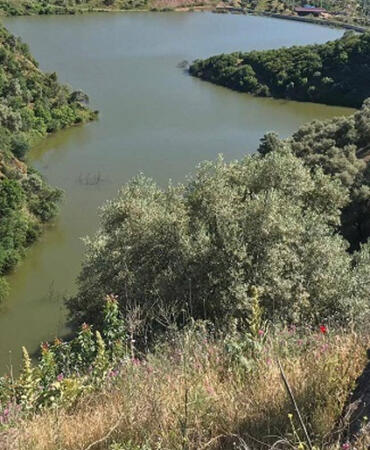 Aydın’da Jandarma, Boğulma Olaylarına Karşı Sulak Alanlarda Denetim Başlattı