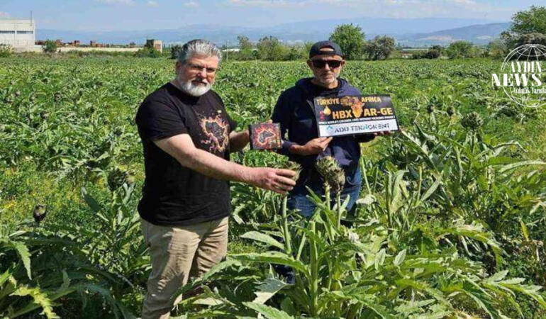 Aydın’dan Dünya Çapında Buluş: HBX-HGM71AA ile Bakterilere Karşı Rekor Etki