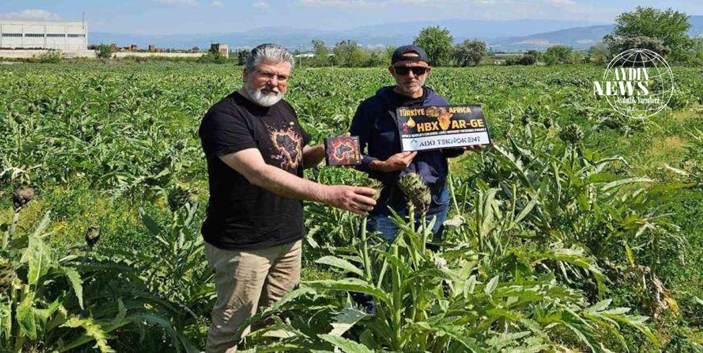 Aydın’dan Dünya Çapında Buluş: HBX-HGM71AA ile Bakterilere Karşı Rekor Etki