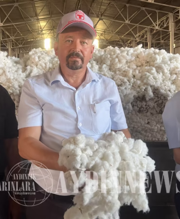 Aydın’da Pamuk Sezonu Bereketli Başladı