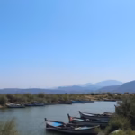 bafa-azap-ve-buyuk-menderese-koruma-kalkani-1
