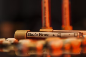 ebola-virus-aa-2463950