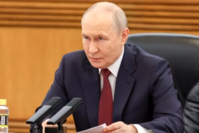 putinaa-2478317