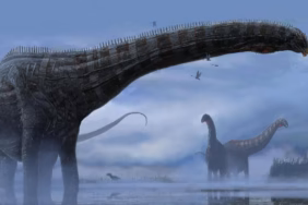 dinozor-afp-1767885