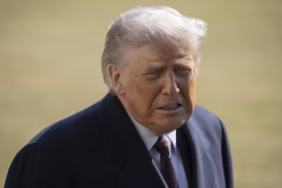 donald-trumpaa-2442655
