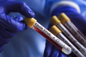 ebola-virus-aa-2463951