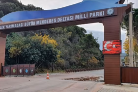milli-park-rekora-kosuyor-cevreciler-uyariyor-3