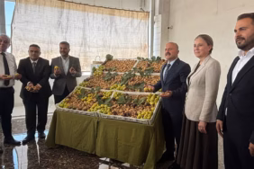 nazillide-yilin-ilk-inciri-torenle-alindi-kilosu-bin-liradan-satildi-1