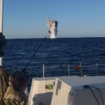 sas-timleri-msb-2486577